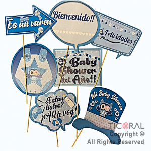 PHOTO PROPS BABY SHOWER CELESTE X12